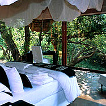 Click to go to Makanyane Safari Lodge