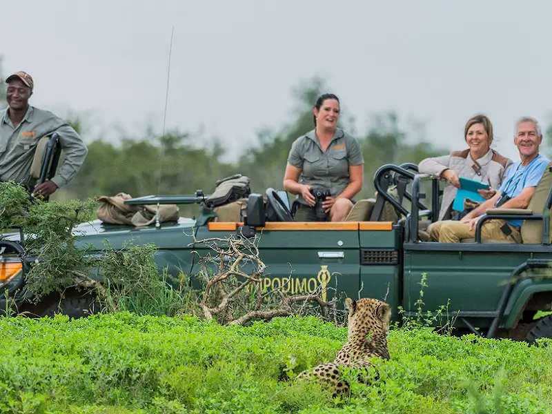 A safari at Impodimo Game Lodge