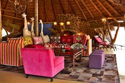 Safari Lodge Lounge