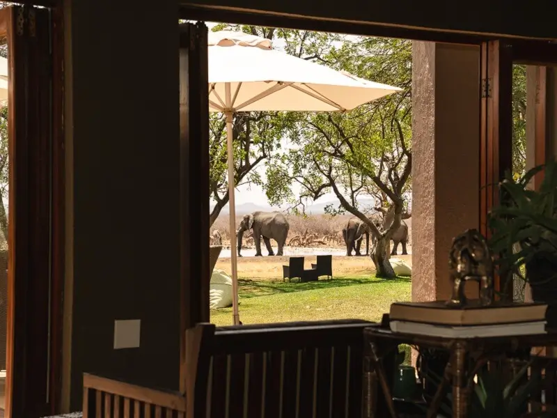 View from the main lodge at Last Word Madikwe