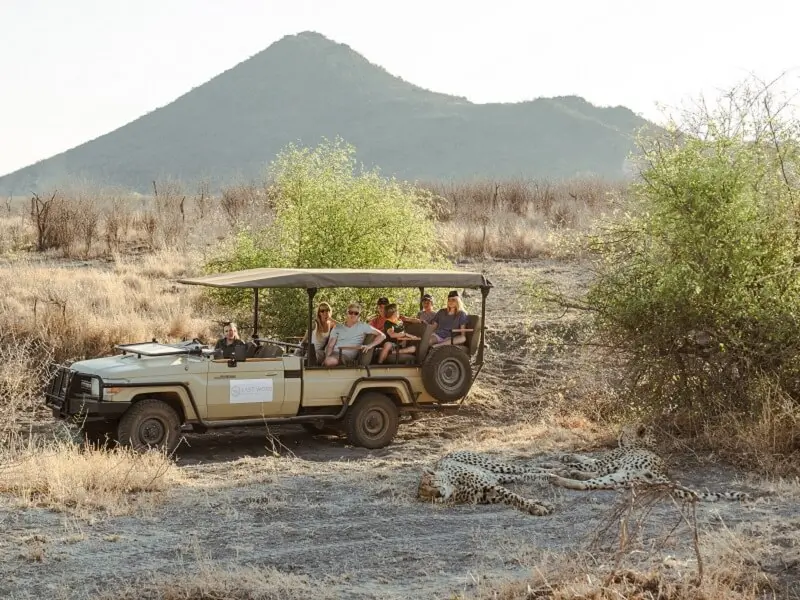 Safari game drive at Last Word Madikwe