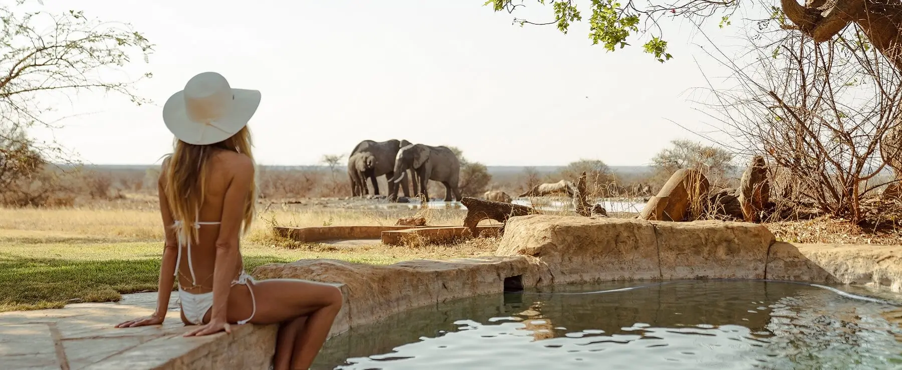 Viewing elephants at the waterhole from the poolside