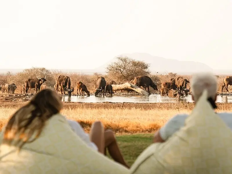 View of the waterhole at Last Word Madikwe