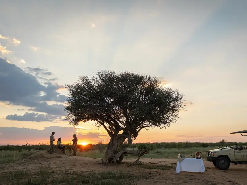 Sundowner safari stop at Rhulani Safari Lodge