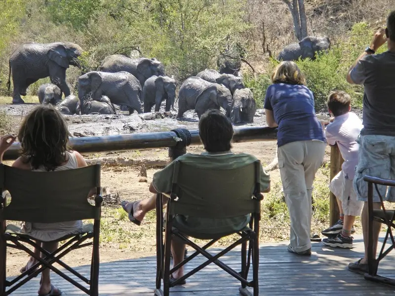 The viewing deck where guests are watching elephants at Tuningi Safari Lodge